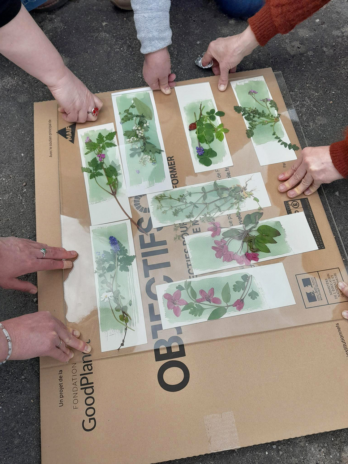 cyanotype - Montigny