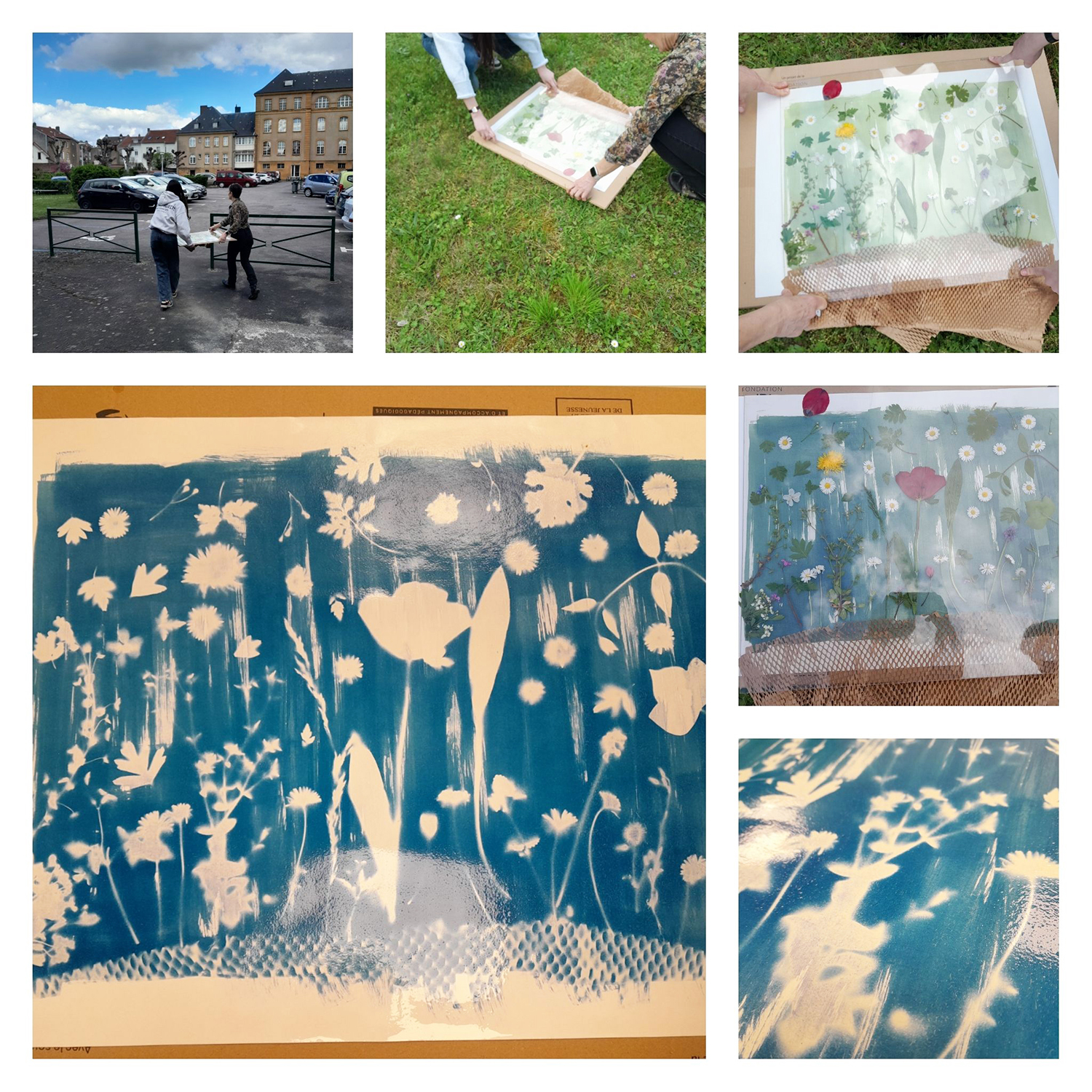 cyanotype - Montigny